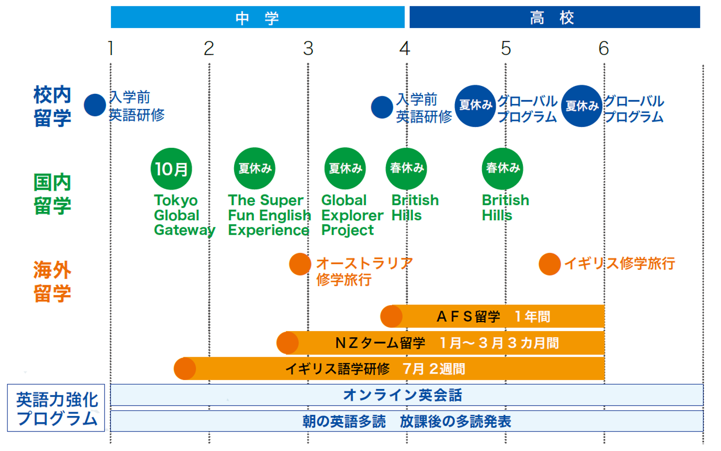 ヴェリタス紹介画像